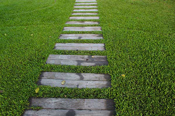 Chemin dans herbe - activité commerciale